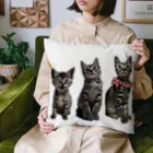 ブティックNENE🐾のネネの仔猫時代 Cushion