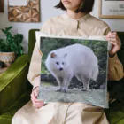 DandyのDandy-White.Raccoon dog Cushion