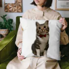 さいちゃんの百貨店のさいちゃんのクッション Cushion