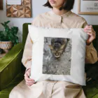 またたびしょっぷのアスファルト猫 Cushion