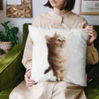 みんなのアイドルめーたんのみんなのアイドルめーたん Cushion