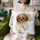 マイティーのお店のマイティーベタ張。 Cushion