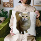 トロールショップの我が家のお猫様が見てます(笑) Cushion