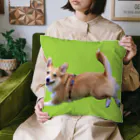 わんライフガーデンのランディとお出かけ🎵 Cushion