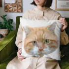 私のお店のような何かのむくむくさん(顔面) Cushion