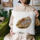 井上アフターバーナーのベータくん Cushion