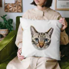 井上アフターバーナーのカイくん Cushion