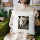 チワワの実夕ちゃんと保護犬保護猫ちゃん達の保護犬のふぅちゃん Cushion