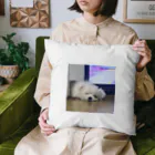 マフィロン同盟のマフィロン　睡眠 Cushion