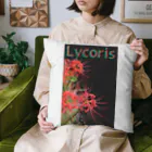 アニマル四字熟語のリコリス　彼岸花　LYCORIS Cushion