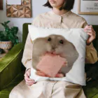 square SIRUのしかくハム　shiru♂ Cushion