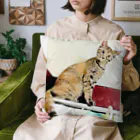 コハクのカーテンレールからニャンコ🐱 Cushion