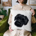 井上アフターバーナーのしゅん太郎くん Cushion