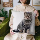 SnapTail by 交流猫動画のキジトラ猫ニャッハーお座り クッション