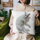 乙にゃ美々の白猫のヴェルちゃん Cushion