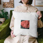 bgengelのひひひひき肉でーす！ Cushion