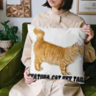 もっち（mocchi）の茶トラ猫ちゃん鍵しっぽ Cushion