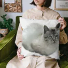 筋肉至上主義者のワイの婆ちゃん家のネッコ Cushion