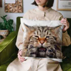 日向ぼっこのずぶ濡れ猫 Cushion