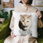 ぬこのこのぬこのこ おかん メモリアルアイテム OKAN Cushion