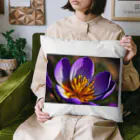 Soundの紫の花 Cushion
