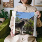 satono.aiの究極のかわいさ！この写真に写っているのは、シュナウザー！ Cushion