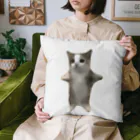 shun1319の今話題の猫ミーム！ Cushion