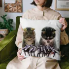 ニゴ猫　shopの記者会見 Cushion