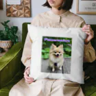 もふもふポメ　のもふもふポメ Cushion