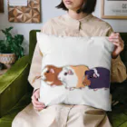 OKameMolꕤ︎︎オカメモルの3色の個性派モルモット Cushion