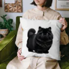 しょっぷトミィの黒猫 Cushion