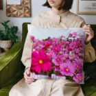 グッズ・ゆきハウス🏠の🌸コスモス、満開！🌸 Cushion