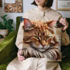 ねむねこのお店のふさふさねこ Cushion