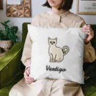 うちのこメーカーのVertigo Cushion