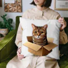 猫の小梅お嬢さんの小梅ちゃん　箱猫 Cushion