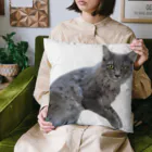 Norinyansの虎くん Cushion