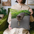 ながしっぽ from.さくらねこの家のとらちゃん　type.D Cushion