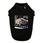 Ruru1の猫とキーボード Dog T-shirt