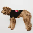 ChicClassic（しっくくらしっく）のお花・Find healing and warmth in the gentle embrace of love Dog T-shirt