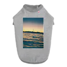 ちくわのフィルムカメラで撮る夕方の湖の景色 ドッグTシャツ