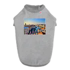 GrapeのRicordi a Venezia ドッグTシャツ