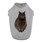 ふぇっとのうちの猫　弐 ドッグTシャツ