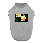 kamakiri3のFlower of the Heart　プルメリア ドッグTシャツ