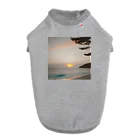 持続可能なサプライショップの海と夕日 Dog T-shirt