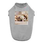 chapio8396のかわいいフレンチブルドックの寝顔 Dog T-shirt