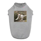 TAIYO 猫好きのフォトプリント美形白猫 Dog T-shirt