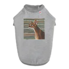 千裕アトリエ（いつもありがとう）のアビシニアン　Abyssinian cat Dog T-shirt