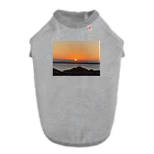玉手箱の海に輝く朝日 Dog T-shirt