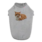 dszsdfdのこうばこねこねこ ドッグTシャツ