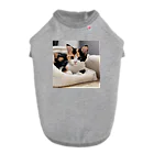 癒しリフレッシュの愛らしい子猫ちゃん Dog T-shirt
